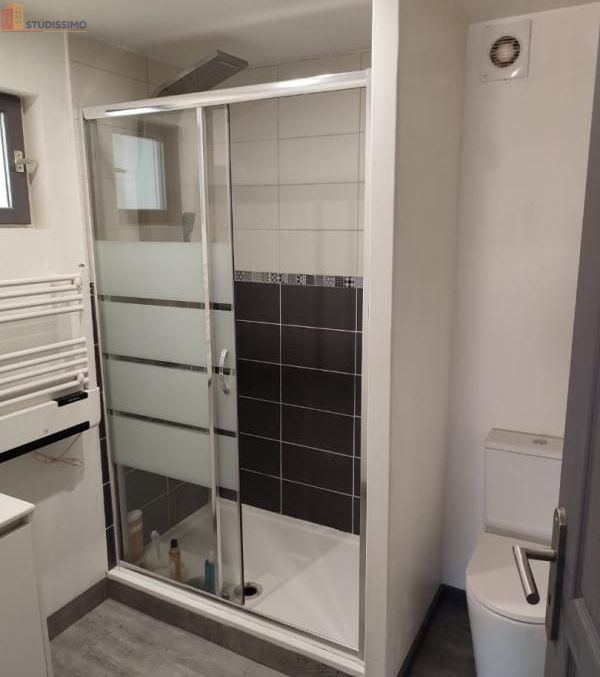 Studio meublé 25m² Toulouse 31300 - Meublé, DPE B - Photo 4