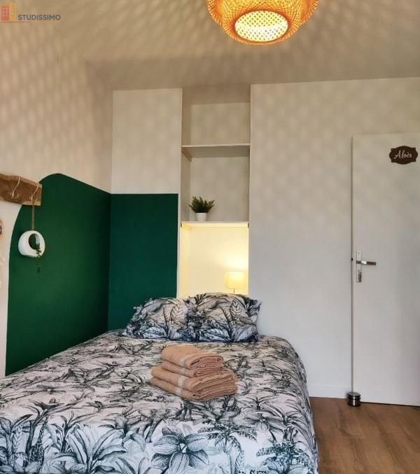 Studio meublé 10m² Toulouse 31100 - Meublé, DPE C - Photo 6