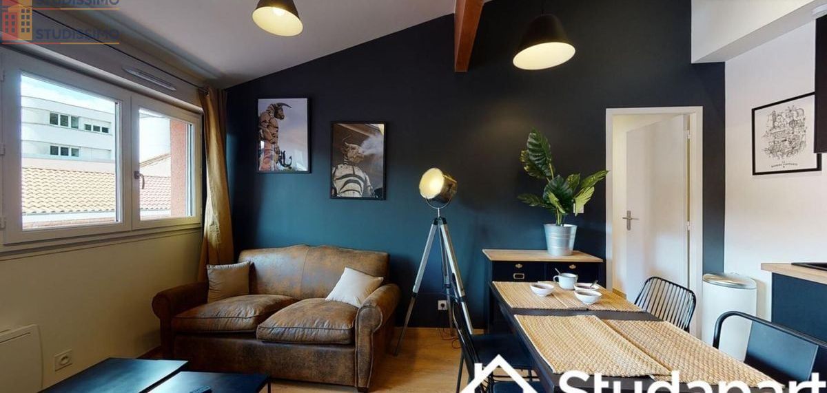 Studio meublé 12m² Toulouse 31000 - Meublé, DPE A - Photo 13