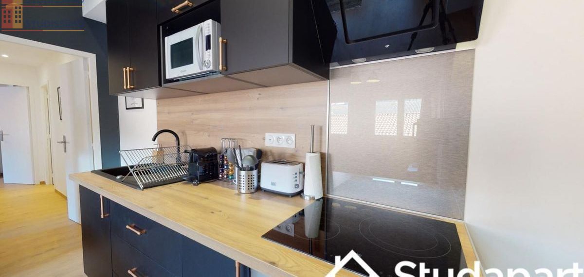 Studio meublé 12m² Toulouse 31000 - Meublé, DPE A - Photo 12
