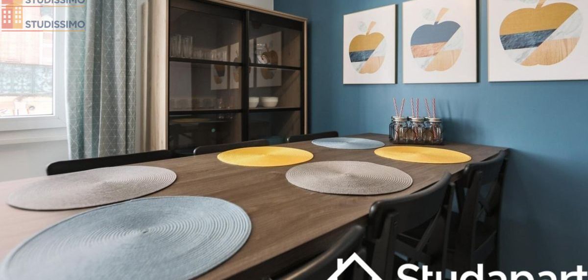 Studio meublé 12m² Toulouse centre - Lumineux - Photo 12