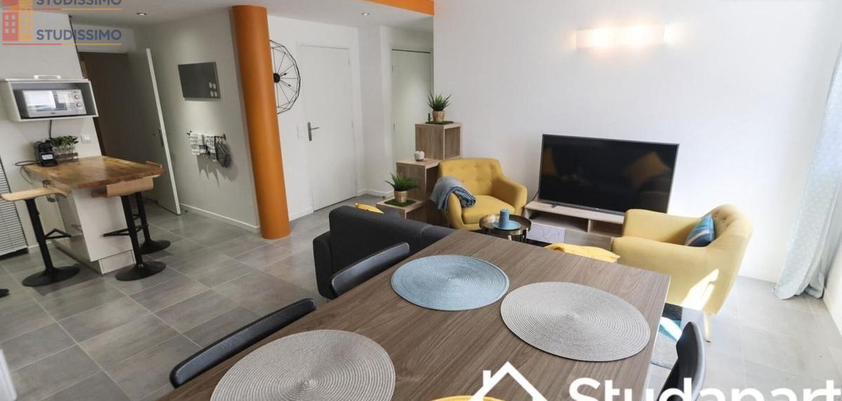 Studio meublé 12m² Toulouse centre - Lumineux - Photo 6