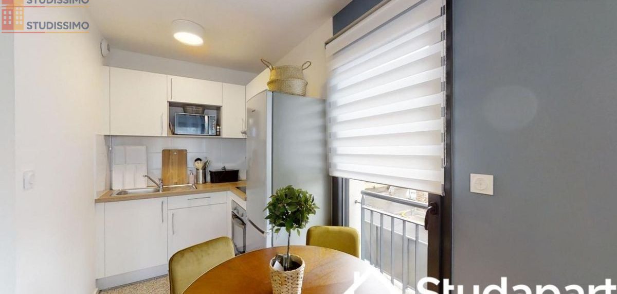 Studio 11m² Toulouse 31200 - Meublé, bon DPE - Photo 2