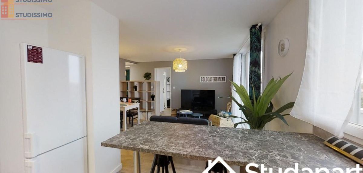 Studio 11m² Toulouse 31300 - Meublé, lumineux - Photo 1