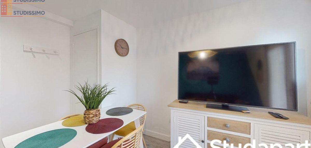 Studio 9m² Toulouse 31400 - Meublé, lumineux - Photo 4