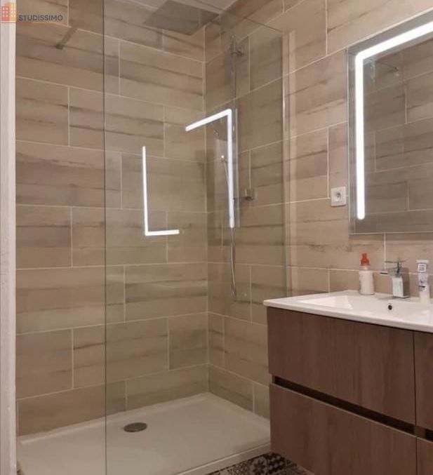 Studio meublé 40m² Toulouse 31500 - Meublé, bon DPE - Photo 4