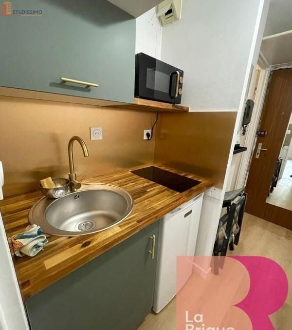 Studio meublé 21m² Toulouse 31500 - Meublé, 2e étage - Photo 6