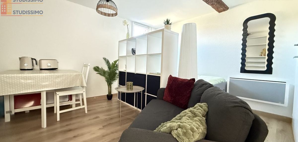 Studio 19m² Toulouse 31000 - Meublé, lumineux - Photo 23