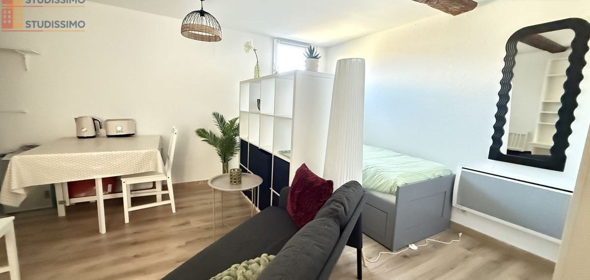 Studio 19m² Toulouse 31000 - Meublé, lumineux - Photo 19