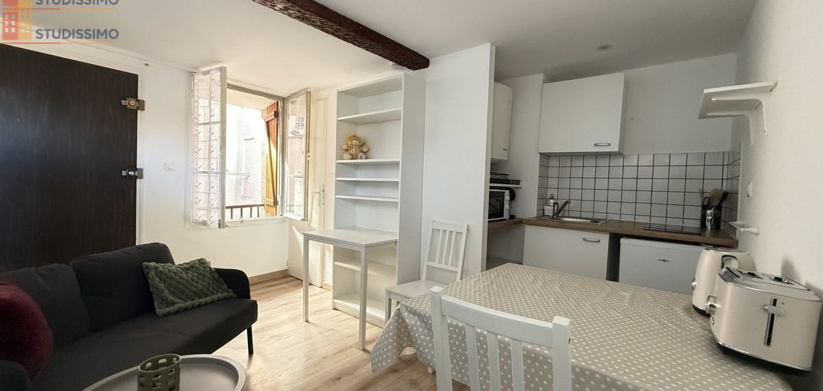 Studio 19m² Toulouse 31000 - Meublé, lumineux - Photo 14