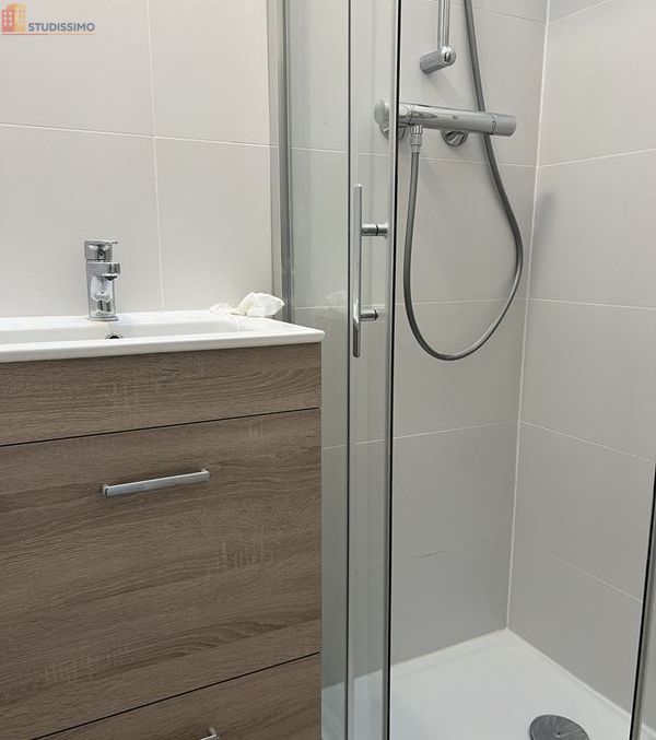 Studio meublé 20m² Toulouse 31000 - Meublé, DPE C - Photo 1
