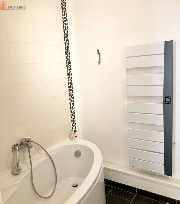 Studio meublé 27m² Toulouse centre - Hyper centre, meublé - Photo 27