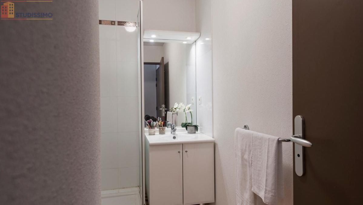 Studio meublé 21m² Toulouse 31400 - Meublé, 1 pièce - Photo 3