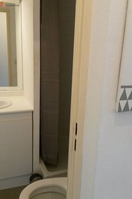 Studio meublé 18m² Toulouse Rangueil - Meublé, 1er étage - Photo 14