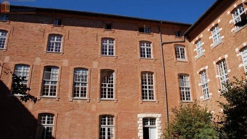 Studio 39m² Toulouse Carmes - Lumineux, proche Dalbade - Photo 4