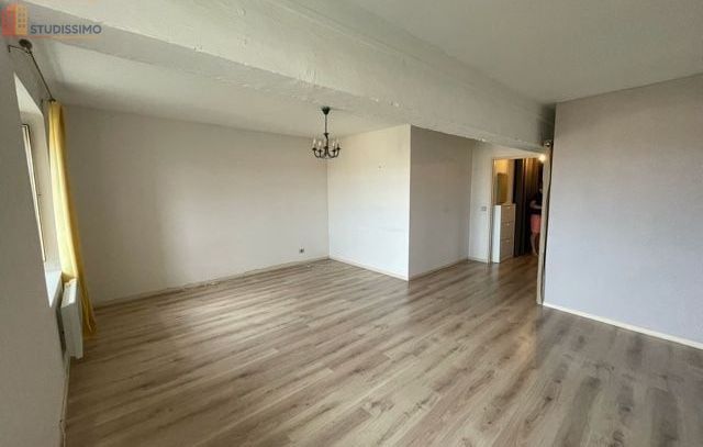 Studio 39m² Toulouse Carmes - Lumineux, proche Dalbade - Photo 2