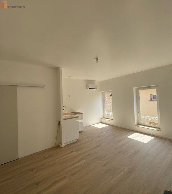 Studio 29m² Ayguesvives - Climatisé, neuf - Photo 4