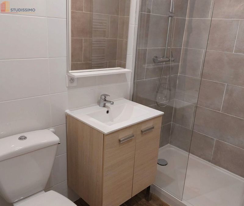Studio 23m² Toulouse centre Compans-Caffarelli - Meublé, proche commerces - Photo 1
