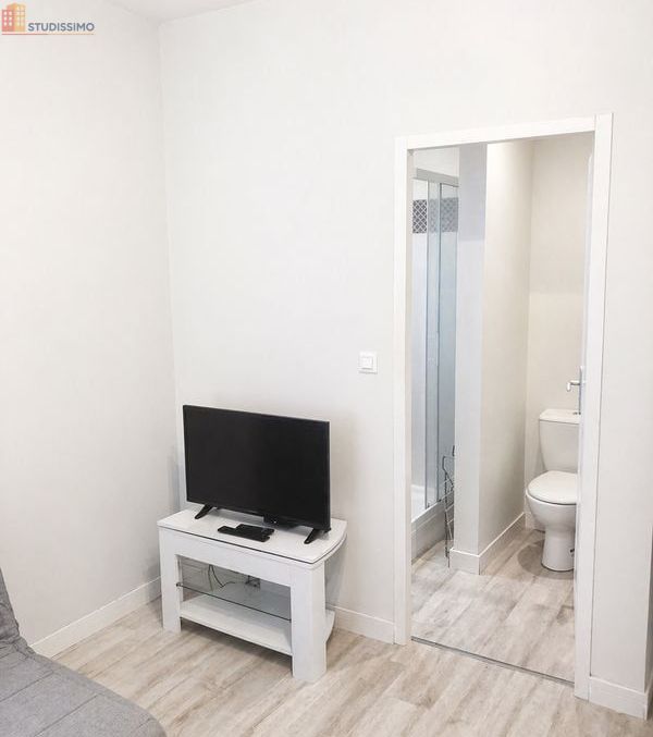 Studio meublé 21m² Toulouse centre Matabiau - Meublé, tout inclus - Photo 3