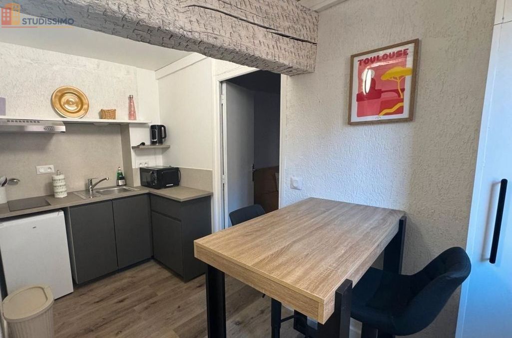 Studio 26m² Toulouse Saint-Cyprien - Meublé, rénové - Photo 3