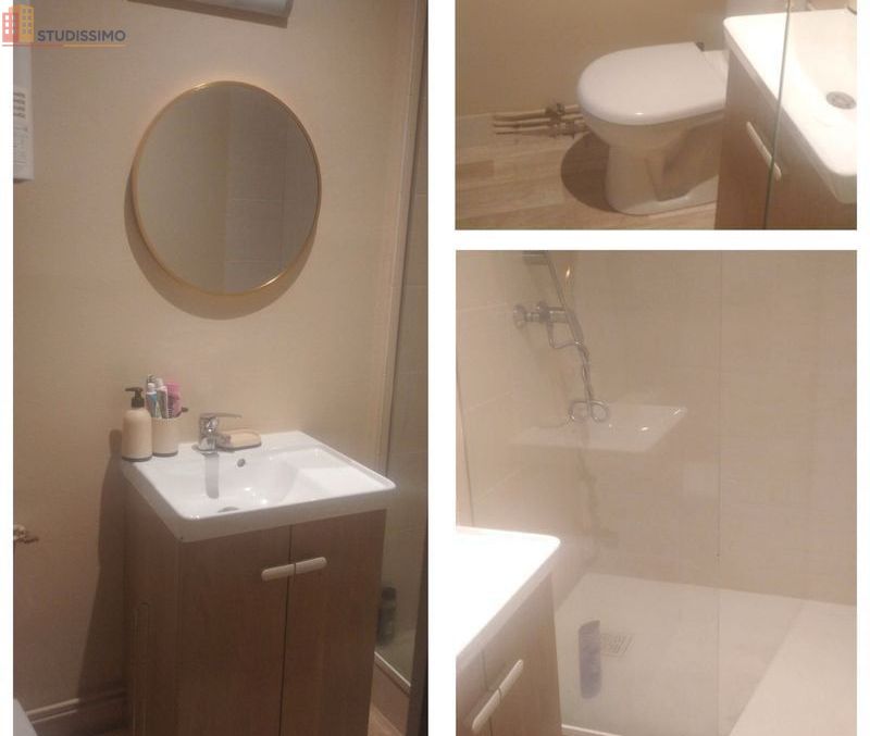 Studio meublé 19m² Bagnères-de-Luchon - Meublé, lumineux - Photo 3