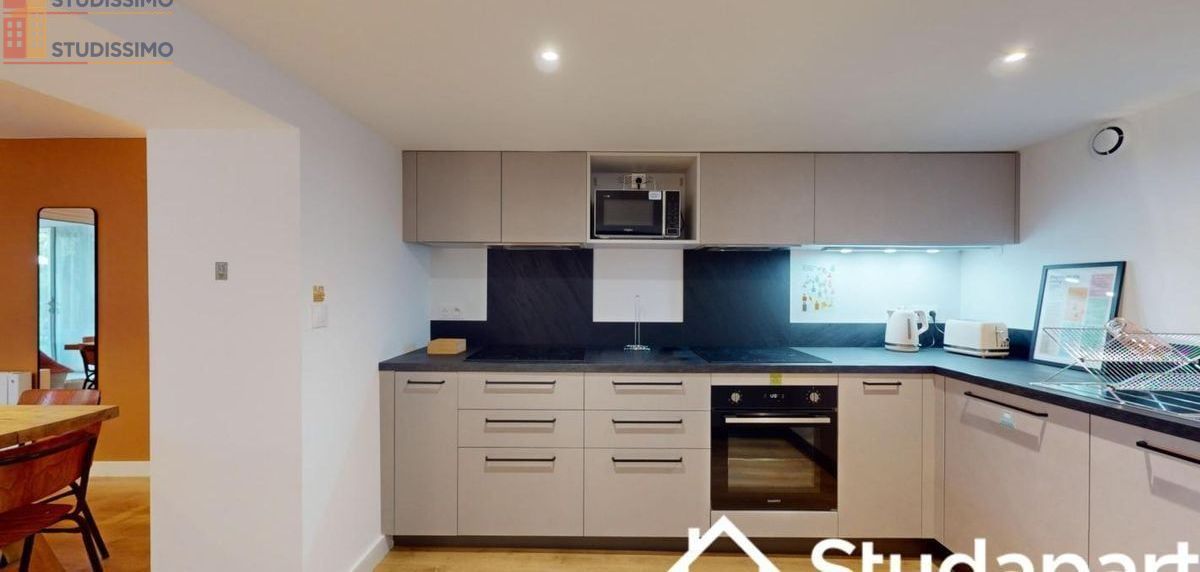 Studio meublé 11m² Toulouse 31200 - Meublé, DPE A - Photo 3
