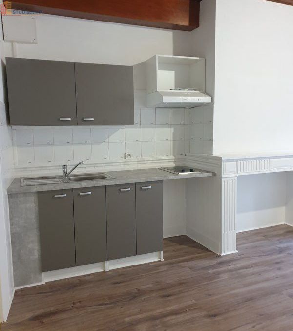 Studio 27m² Muret centre - Très lumineux - Photo 2