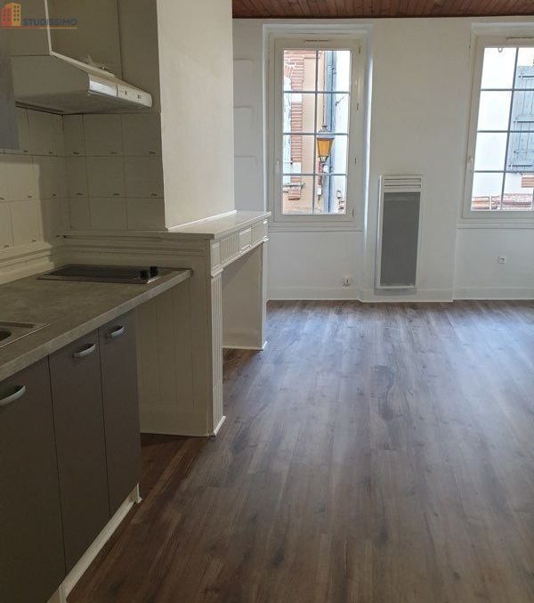Studio 27m² Muret centre - Très lumineux - Photo 1