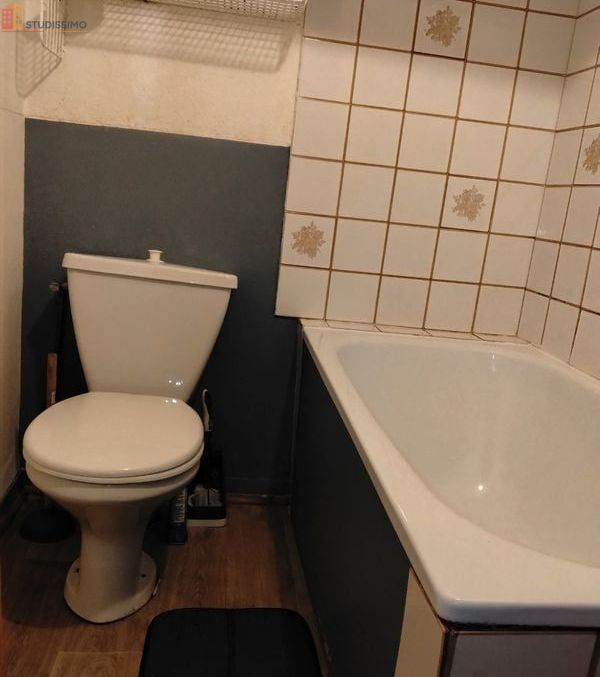 Studio meublé 20m² Toulouse centre - Jardin privatif - Photo 4
