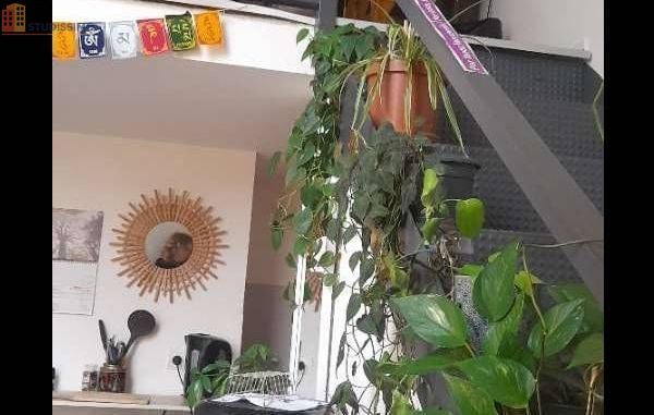 Studio meublé 20m² Toulouse 31400 - Meublé, sous-location - Photo 2