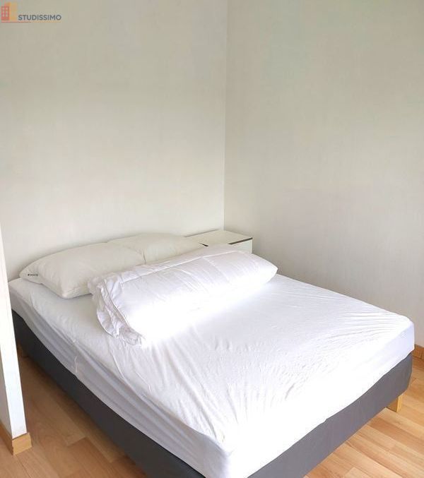 Studio 27m² Toulouse centre - Meublé, 3e étage - Photo 24
