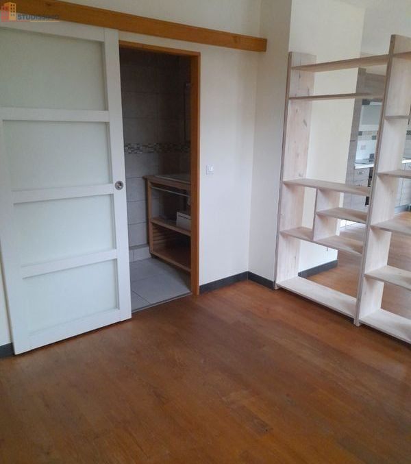 Studio 30m² Salles-sur-Garonne - Terrasse 13m² - Photo 4