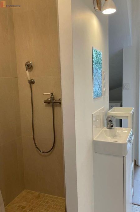 Studio meublé 20m² Toulouse 31400 - Meublé, DPE B - Photo 8