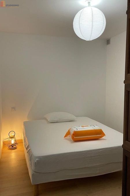 Studio meublé 20m² Toulouse 31400 - Meublé, DPE B - Photo 2