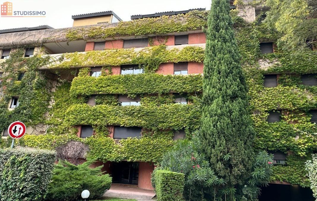 Studio 32m² Toulouse 31400 - Piscine, parc - Photo 5