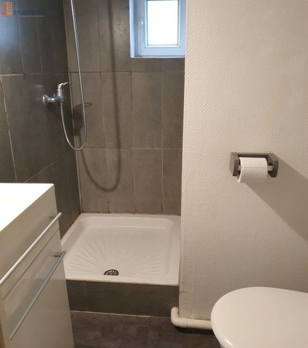 Studio meublé 16m² Toulouse 31000 - Meublé, DPE D - Photo 3