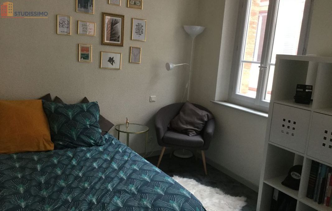 Studio meublé 21m² Toulouse centre - Meublé, DPE C - Photo 1