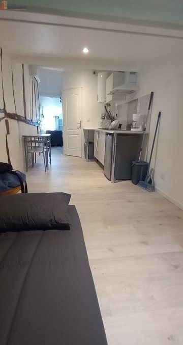 Studio meublé 16m² Revel - Lumineux, 3e étage - Photo 6