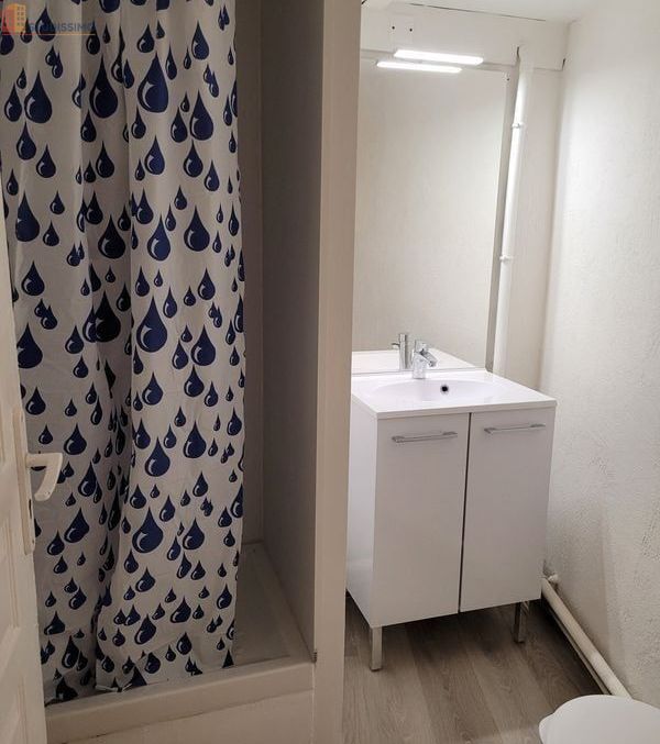 Studio meublé 20m² Auch 32000 - Meublé, DPE D - Photo 1