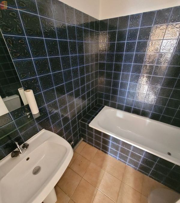 Studio 20m² Auch - Rez-de-chaussée, lumineux - Photo 5