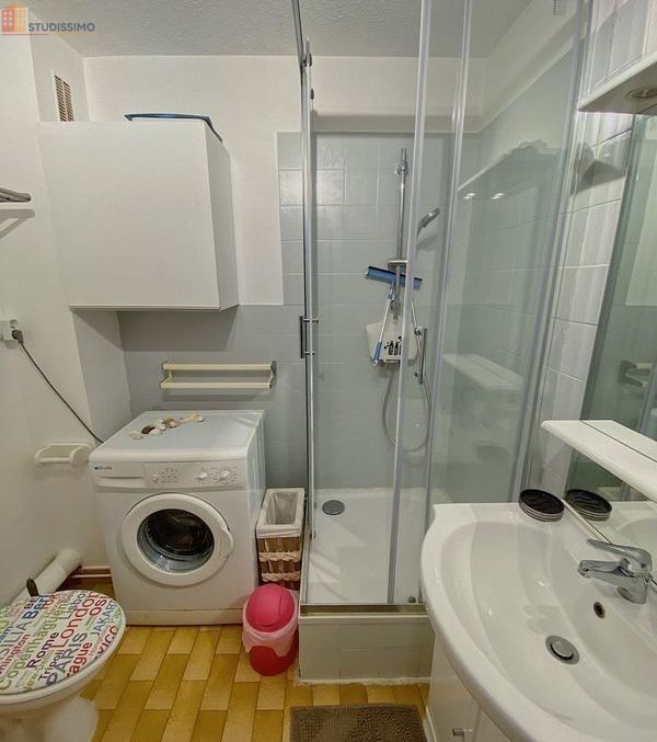 Studio meublé 32m² Mauguio - Dernier étage, lumineux - Photo 1