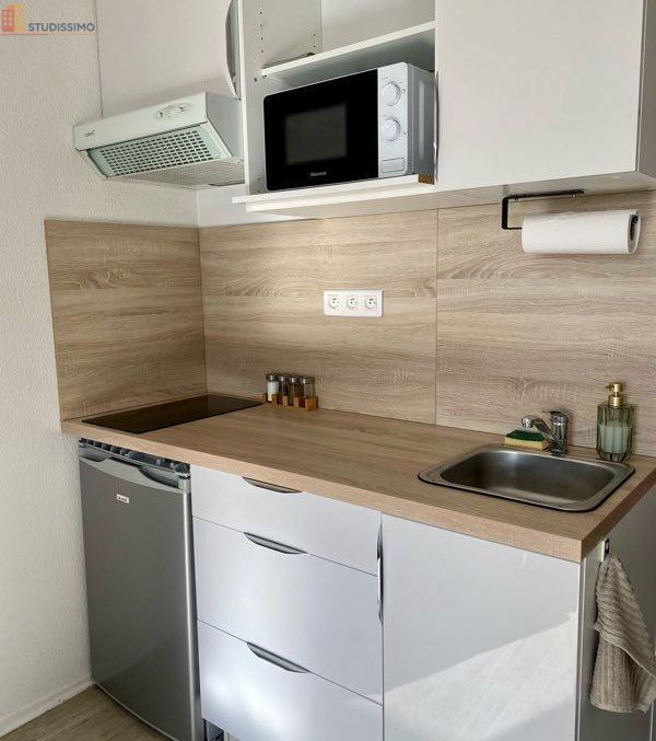 Studio 17m² Bordeaux 33200 - Meublé, lumineux - Photo 1