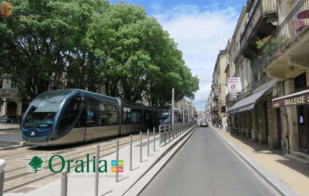 Studio 35m² Bordeaux centre - Photo 9