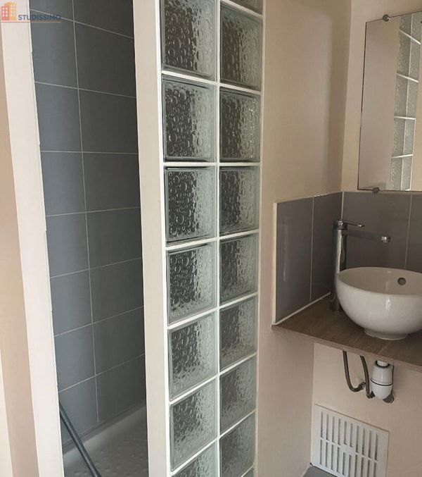Studio meublé 18m² Saint-Jean-de-Védas - Meublé, DPE D - Photo 7