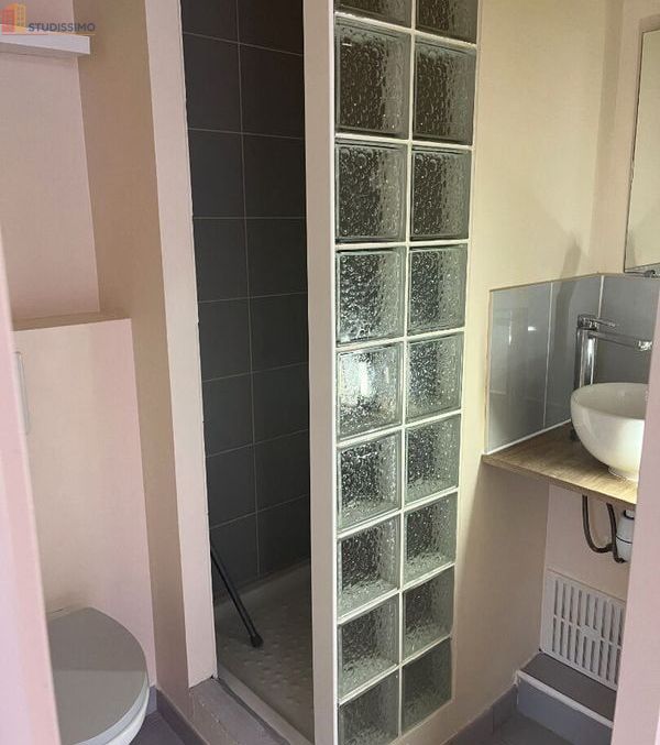 Studio meublé 18m² Saint-Jean-de-Védas - Meublé, DPE D - Photo 4