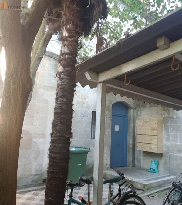 Studio 19m² Bordeaux centre - Meublé, idéal étudiant - Photo 1