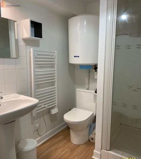 Studio meublé 29m² Sainte-Foy-la-Grande - Meublé, DPE C - Photo 19