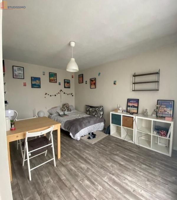 Studio 24m² Talence 33400 - 2e étage, lumineux - Photo 10