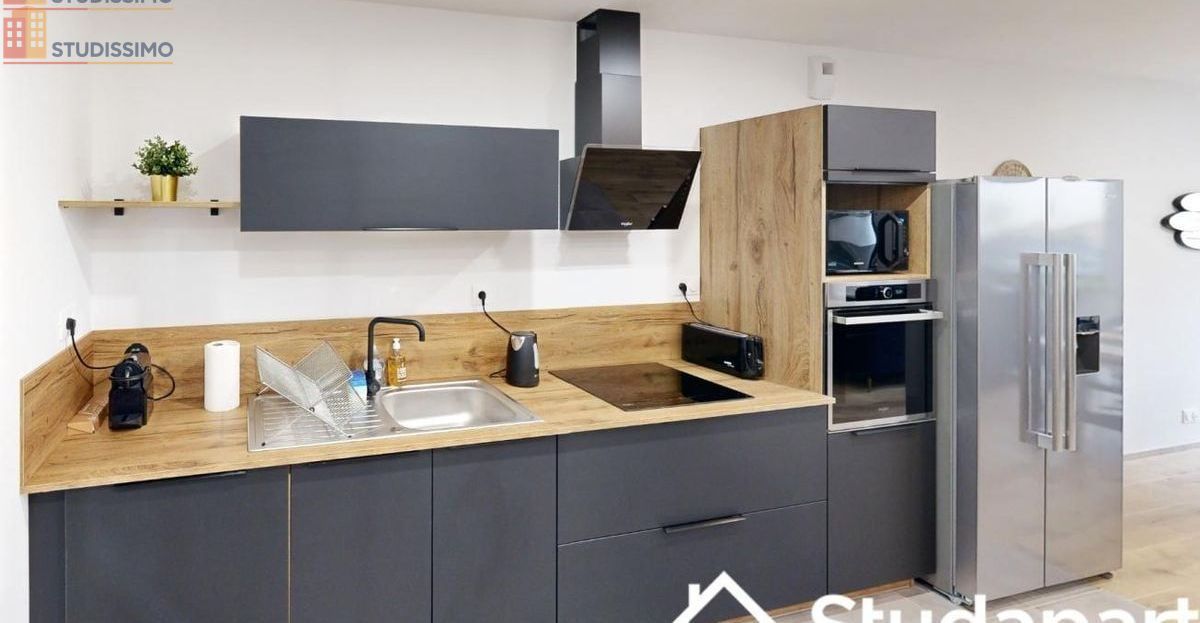 Studio meublé 15m² Rennes 35700 - Meublé, DPE B - Photo 3