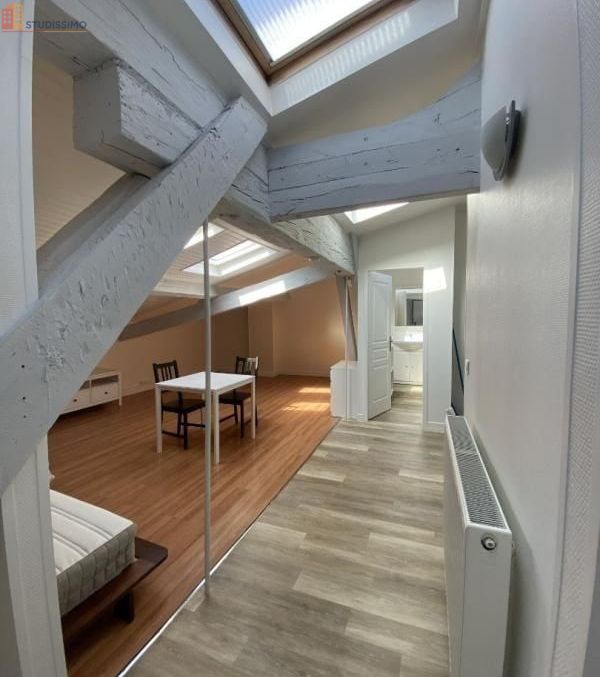 Studio meublé 31m² Bordeaux 33300 - 2e étage, lumineux - Photo 9